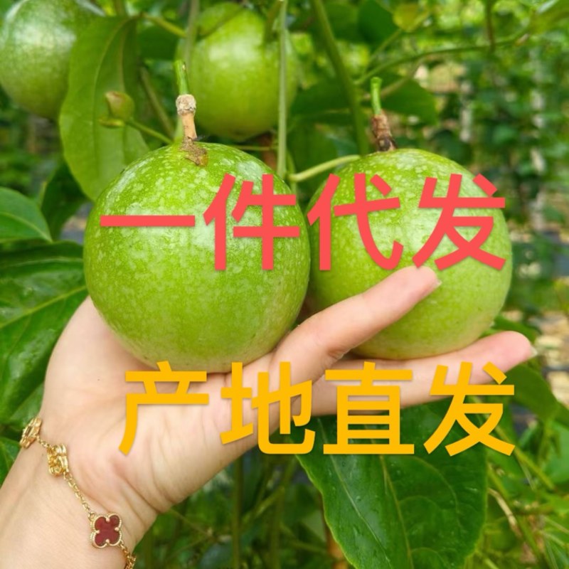 黄金百香果