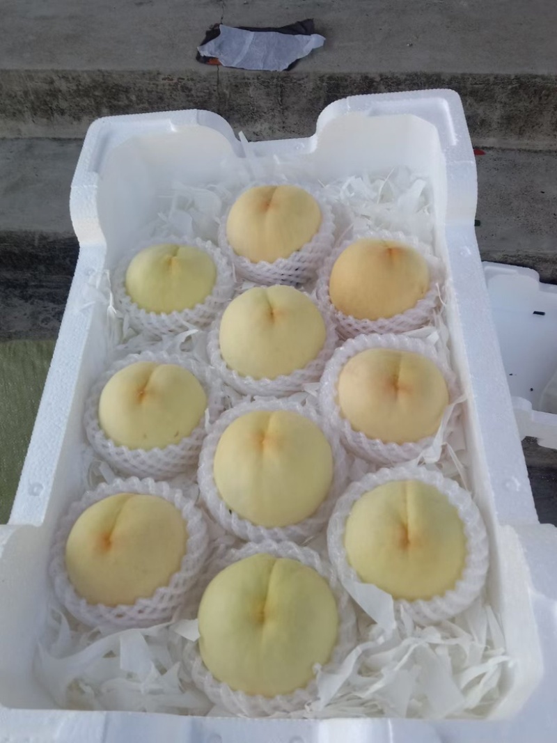 脆桃，水蜜桃，黄桃系列都有