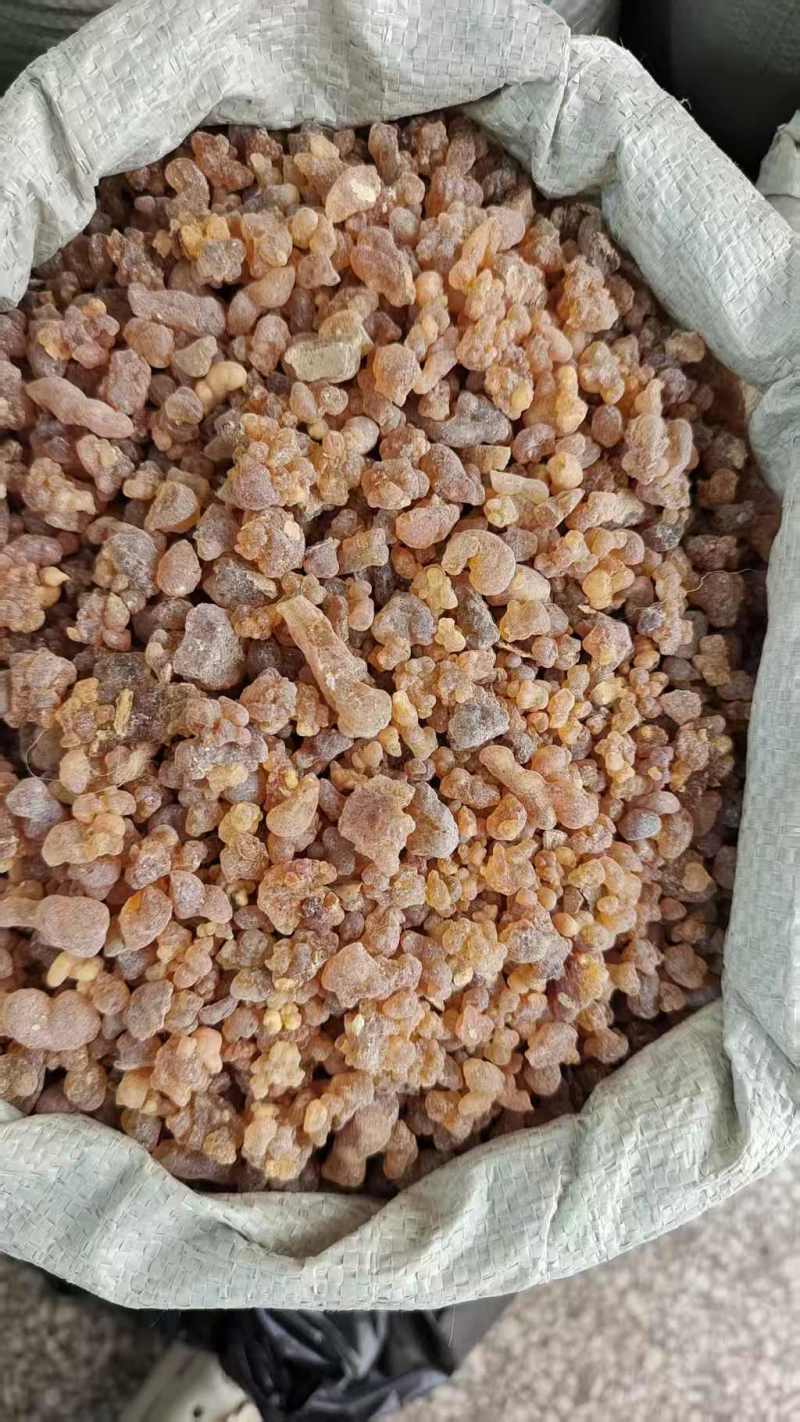 乳香珠选货2斤包邮量大优惠