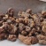 没药明没药好通货树皮少2斤包邮量大优惠
