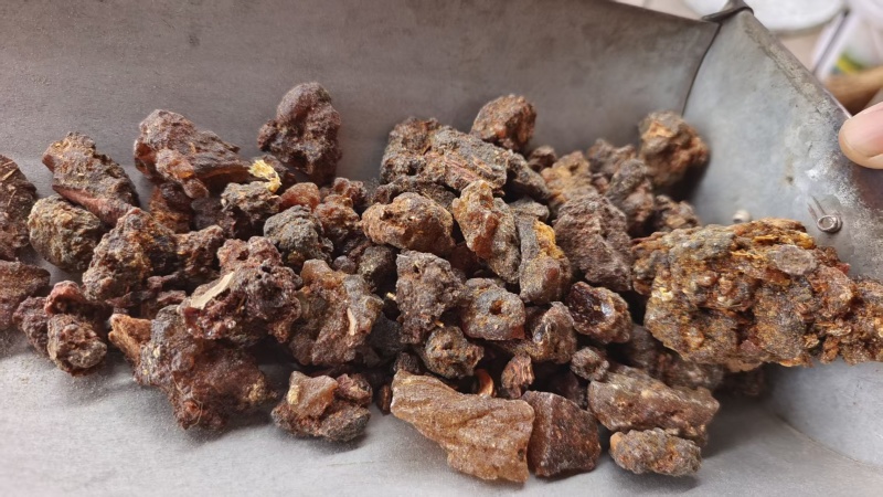 没药明没药好通货树皮少2斤包邮量大优惠