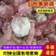 山东济南市商河大蒜基地欢迎你，我处有冷库，场地，