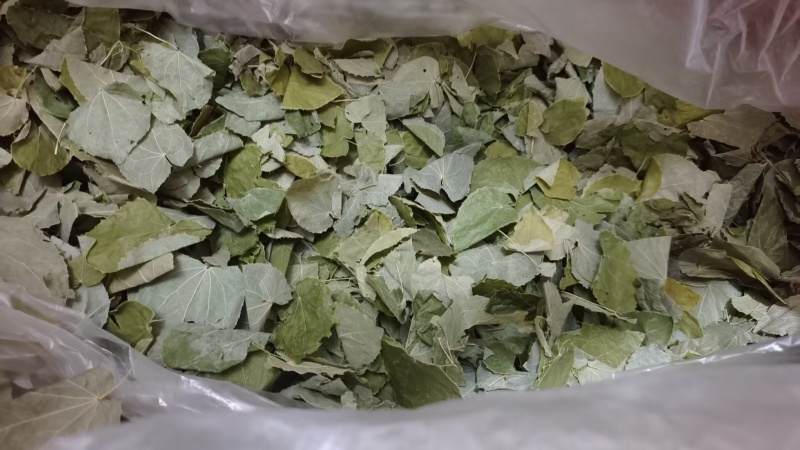 淫羊藿甘肃圆叶选货颜色好量大优惠