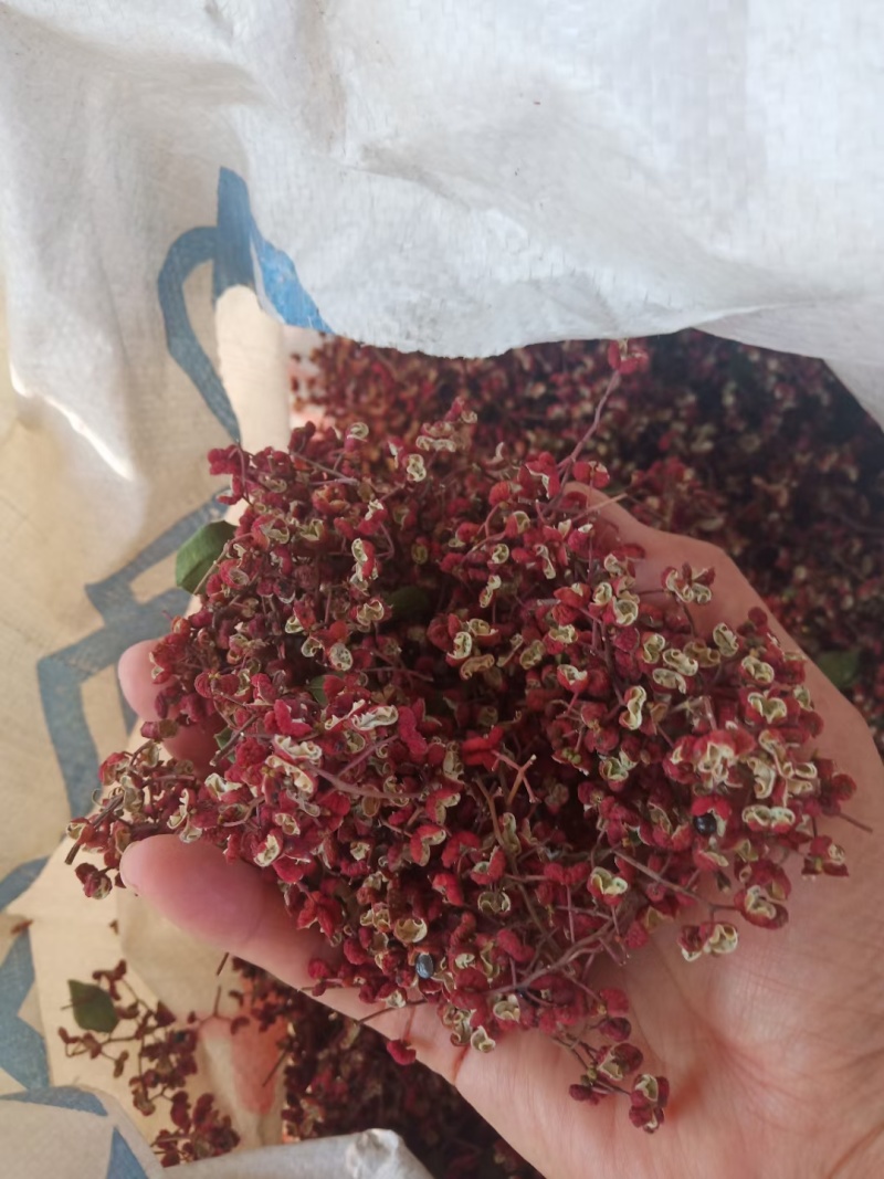 正宗富平花椒产地供应量大从优质量保证欢迎咨询