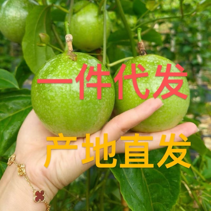 黄金百香果