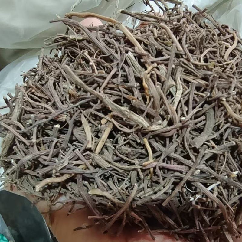 紫苑产地直销各种规格2斤包邮量大优惠