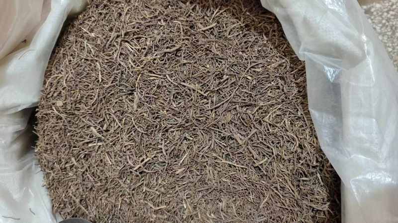 紫苑产地直销各种规格2斤包邮量大优惠