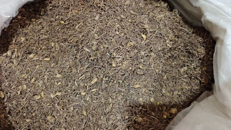 紫苑产地直销各种规格2斤包邮量大优惠