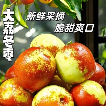 大荔冬枣精品冬枣产地直发专业代办代收代发一手货源欢迎实地