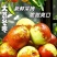 大荔冬枣精品冬枣产地直发专业代办代收代发一手货源欢迎实地