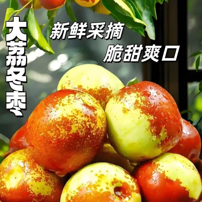 大荔冬枣精品冬枣产地直发专业代办代收代发一手货源欢迎实地