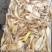 海鲶鱼，为主杂鱼类饲料鱼，养殖用，价格便宜，有量