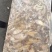 海鲶鱼，为主杂鱼类饲料鱼，养殖用，价格便宜，有量