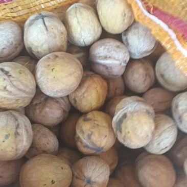 脱皮鲜核桃量大从优