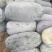 【新鲜直达】河南漯河白皮冬瓜现摘现发量大价优可视频看货
