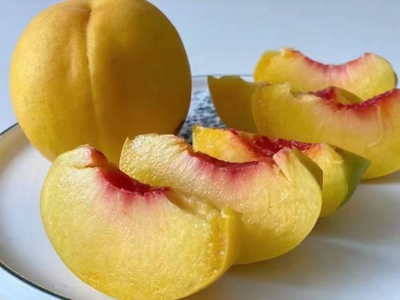 锦绣黄桃