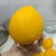 锦绣黄桃