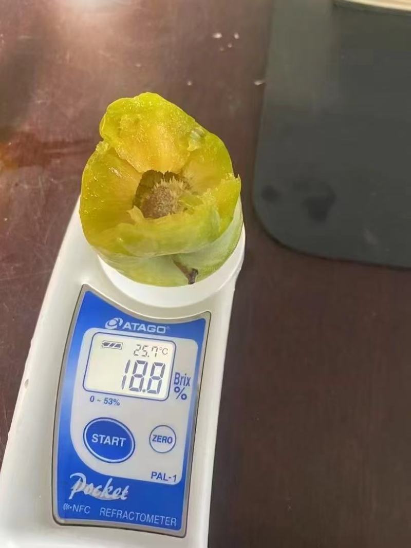 晚熟蜂糖李