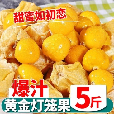 海伦姑娘果上市了，，支持全平台一件代发，市场批发，想合作