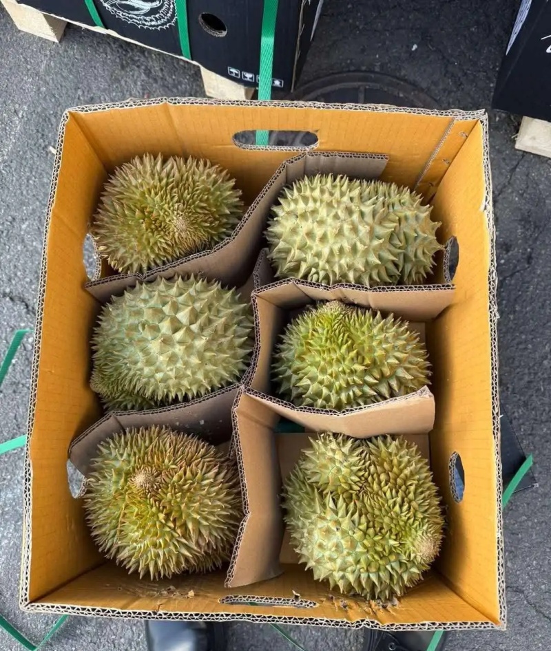 金枕榴莲一手批发价格