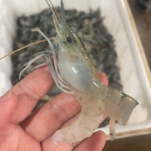 罗沼虾仁