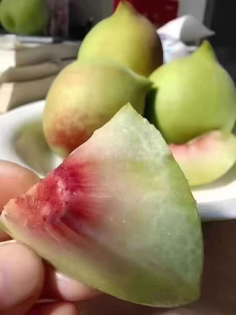 河源连平县鹰嘴桃