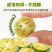 西柚青桔柠檬百香果茶组合金桔百香果冻干块冲饮果茶水果茶泡水喝