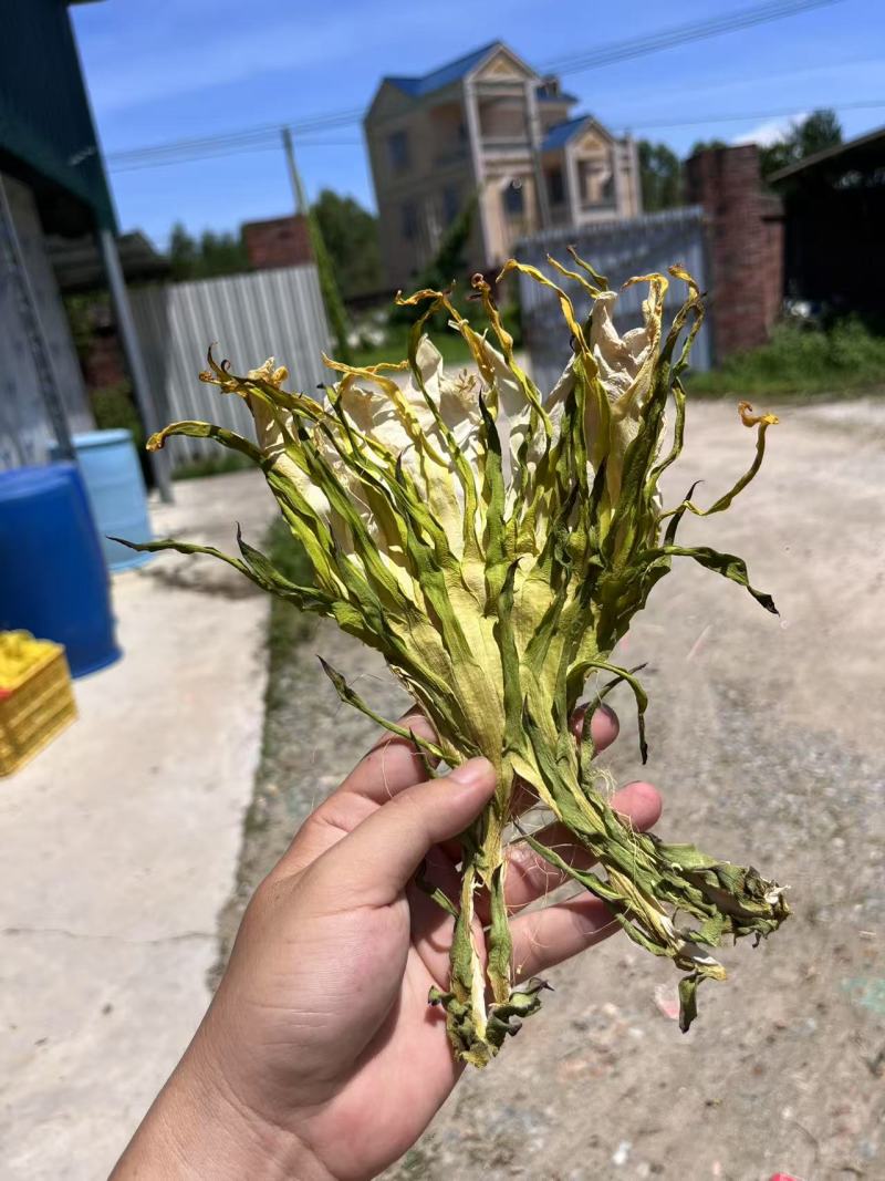 霸王花干货源头好货