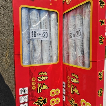 精品舟山带鱼