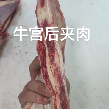 牛宫后筋宫后筋夹肉烧烤爆火产品厂家直销一件批发