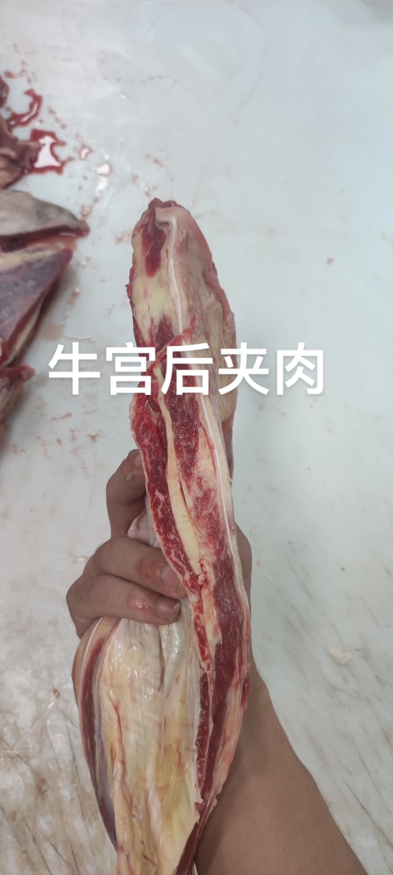 牛宫后筋宫后筋夹肉烧烤爆火产品厂家直销一件批发