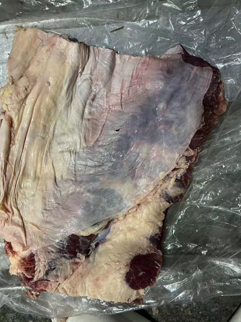 牛宫后筋宫后筋夹肉烧烤爆火产品厂家直销一件批发