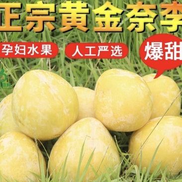 正宗湖南汝城奈李脆甜多汁新鲜水果可10斤装包邮可一件发