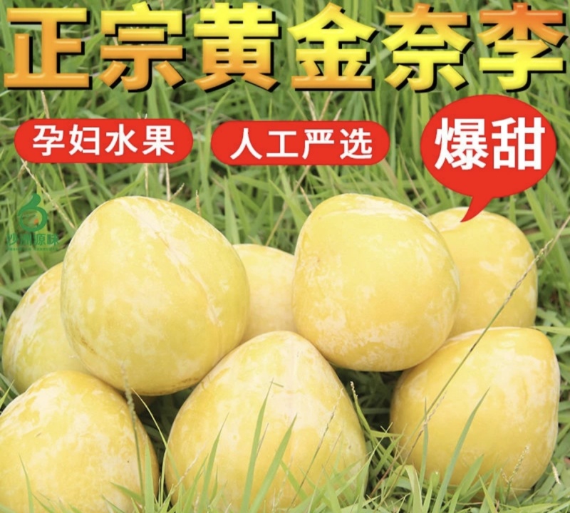 正宗湖南汝城奈李脆甜多汁新鲜水果可10斤装包邮可一件发