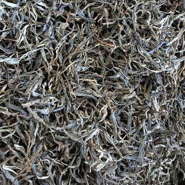 忙肺古树纯料生茶