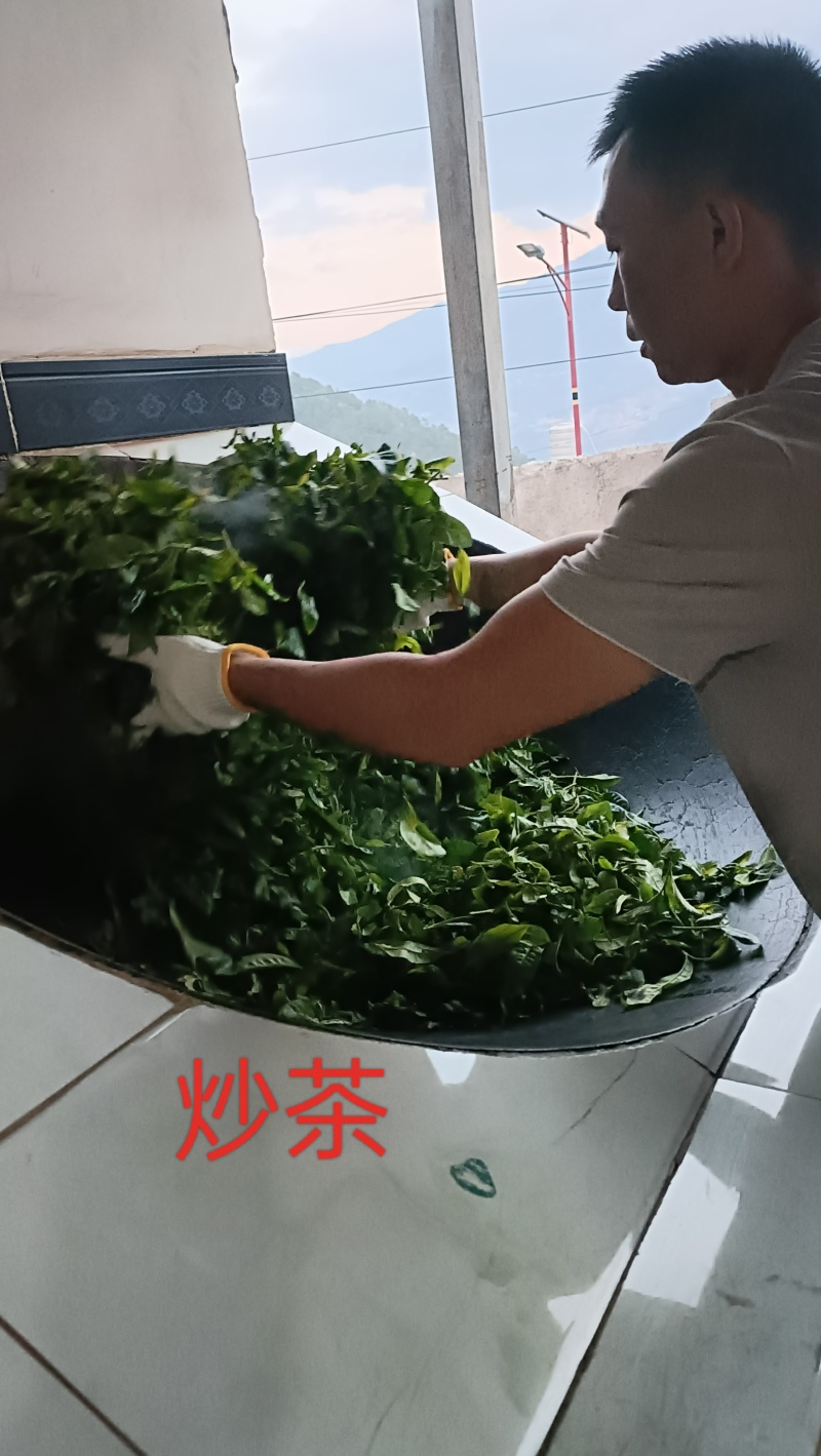 忙肺古树纯料生茶