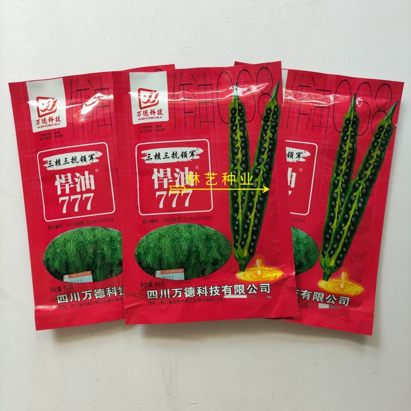 悍油777油菜籽种子秋冬季耐寒油菜花孑高产抗病高油优质