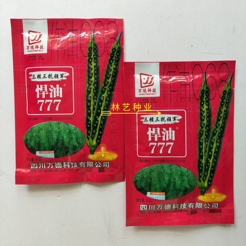 悍油777油菜籽种子秋冬季耐寒油菜花孑高产抗病高油优质