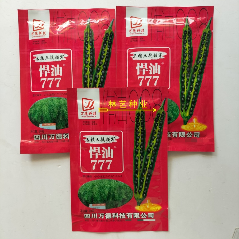 悍油777油菜籽种子秋冬季耐寒油菜花孑高产抗病高油优质