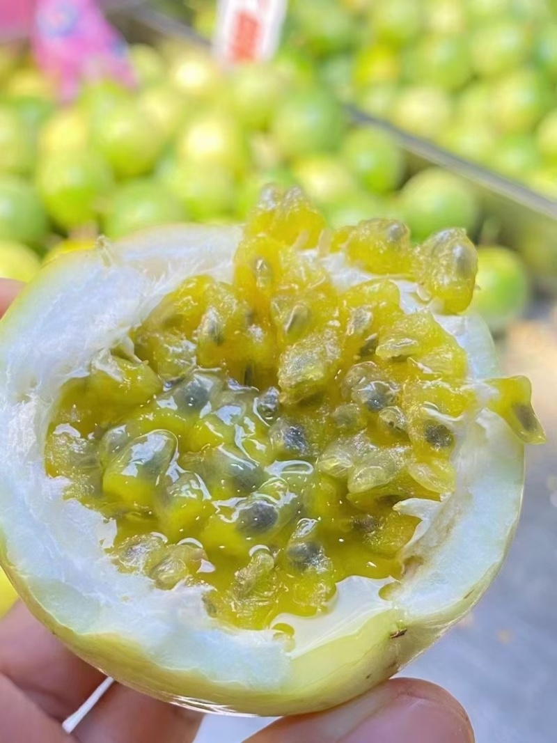 钦蜜9号黄金百香果