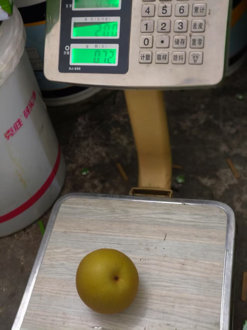 大量梨子出售，有意者联系：***********
