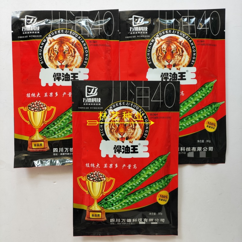 悍油王油菜籽种子高产抗病抗倒荚果多农家大田基地春秋季