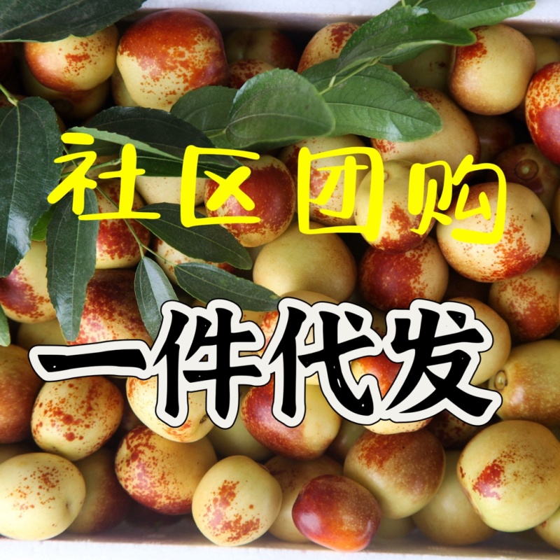 冬枣，鲜枣对接多多美团社区团购，电商平台一件代发