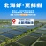 海鲜虾饼98%鲜虾含量空气炸锅虾排刷火锅虾饼半成品冷