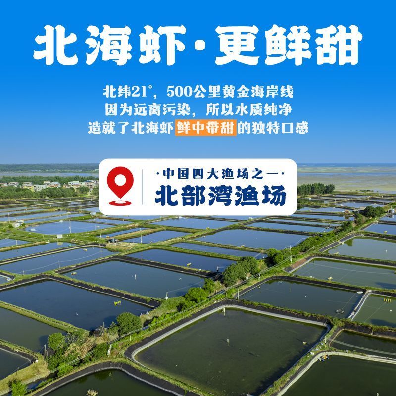 海鲜虾饼98%鲜虾含量空气炸锅虾排刷火锅虾饼半成品冷