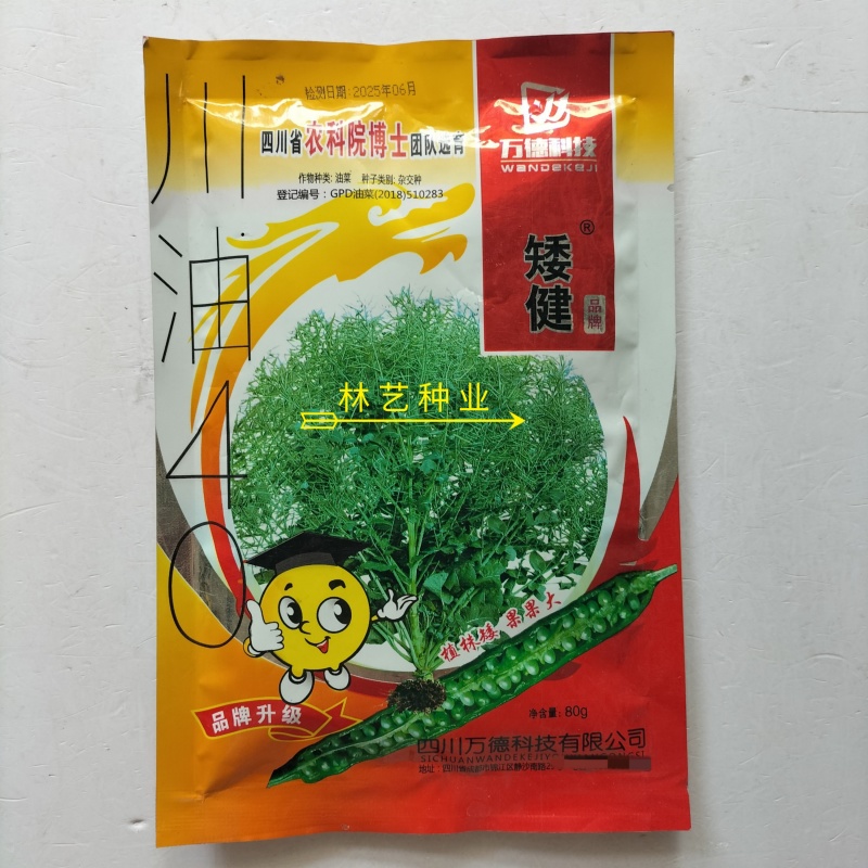 矮健油菜种子高产抗病抗倒大果优质油菜花种籽春秋播越冬菜籽