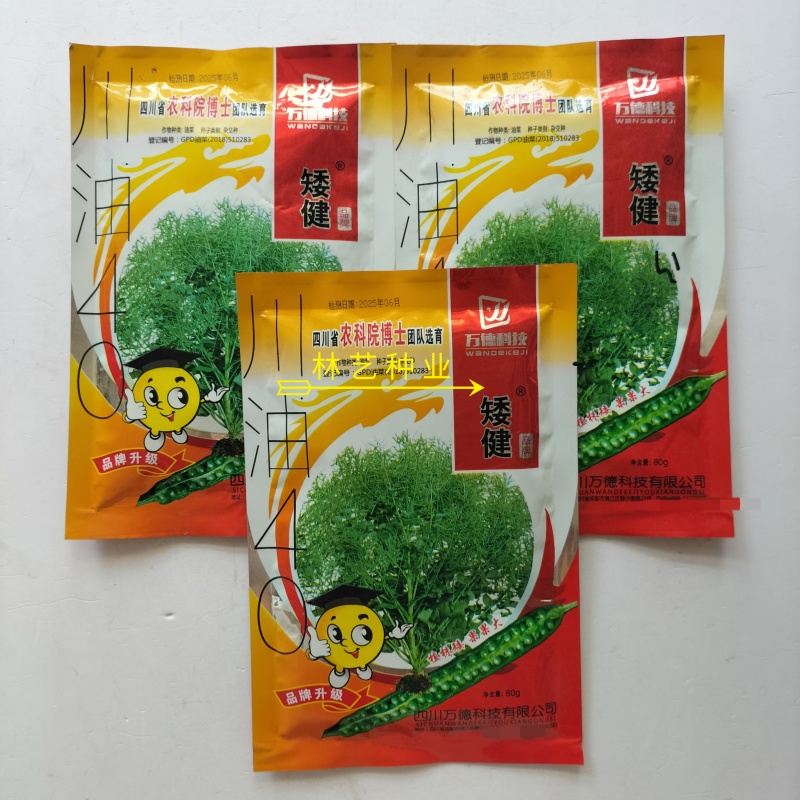 矮健油菜种子高产抗病抗倒大果优质油菜花种籽春秋播越冬菜籽