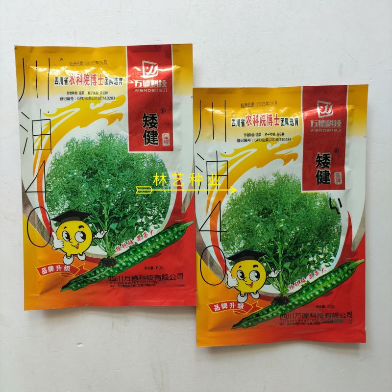 矮健油菜种子高产抗病抗倒大果优质油菜花种籽春秋播越冬菜籽