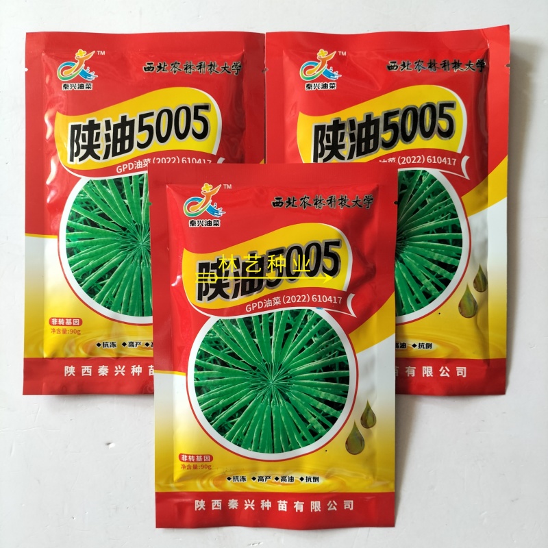 陕油5005油菜种子三系杂交高产高油矮杆抗病抗寒抗倒