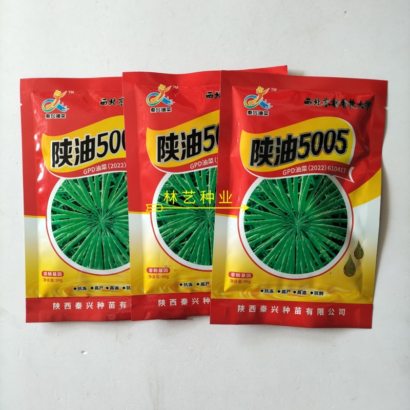 陕油5005油菜种子三系杂交高产高油矮杆抗病抗寒抗倒